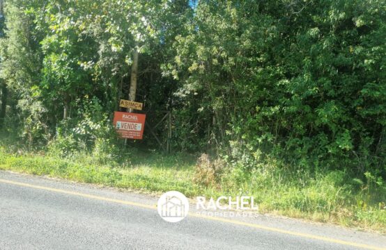 EN VENTA PARCELA A ORILLA DE CAMINO SECTOR MOLCO ALTO